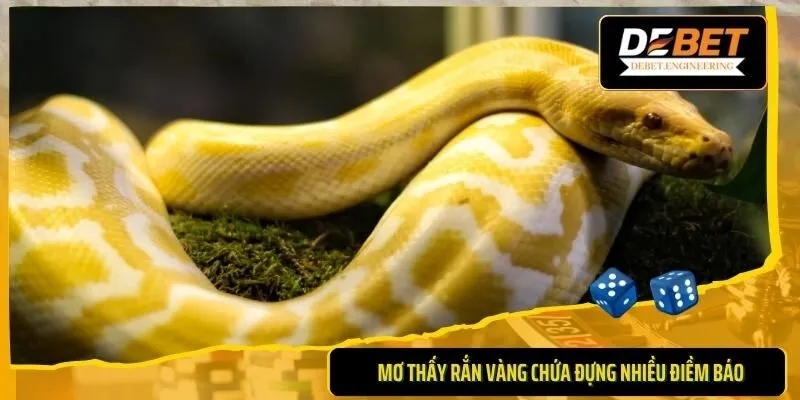Mơ thấy rắn vàng