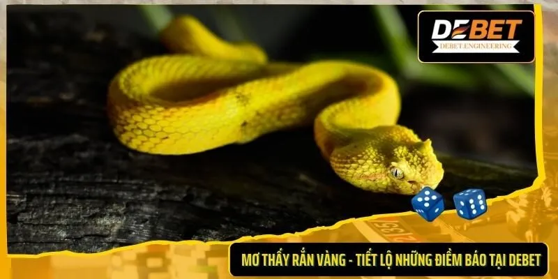 Mơ thấy rắn vàng