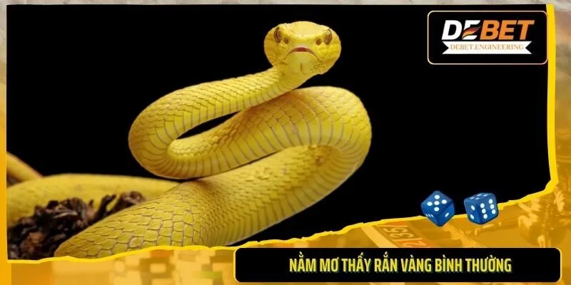 Mơ thấy rắn vàng