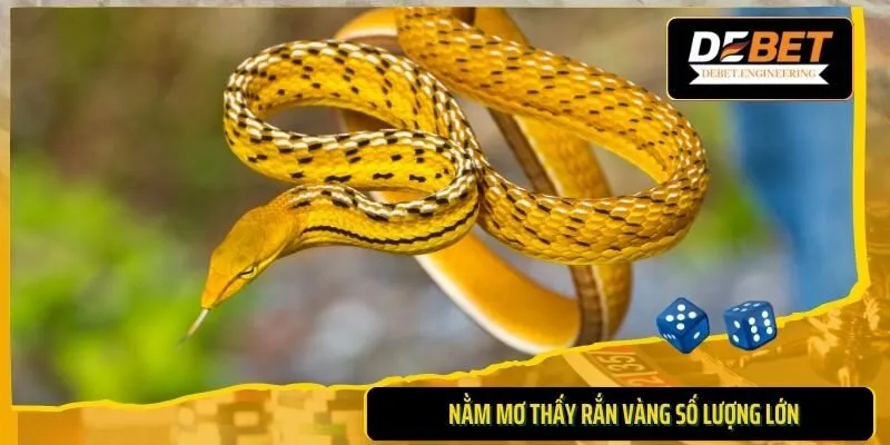 Mơ thấy rắn vàng